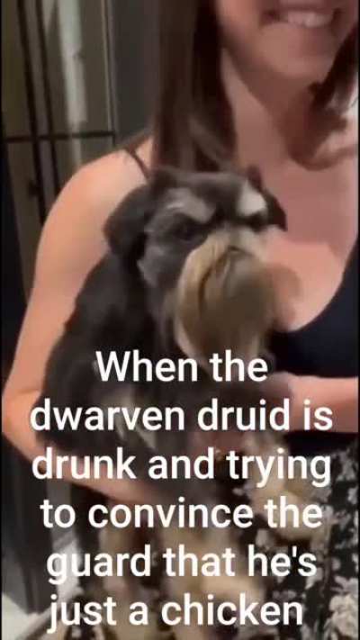 Wild shaping while you're drunk can't be easy