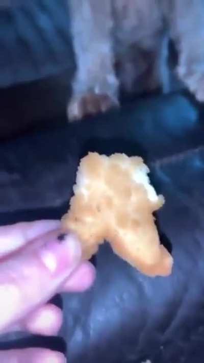 se caga a piñas*