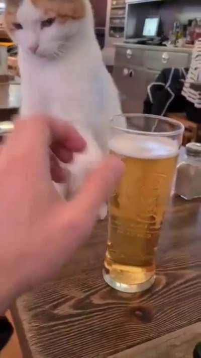 Proibido beber 
