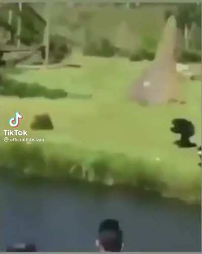 Monke hurt