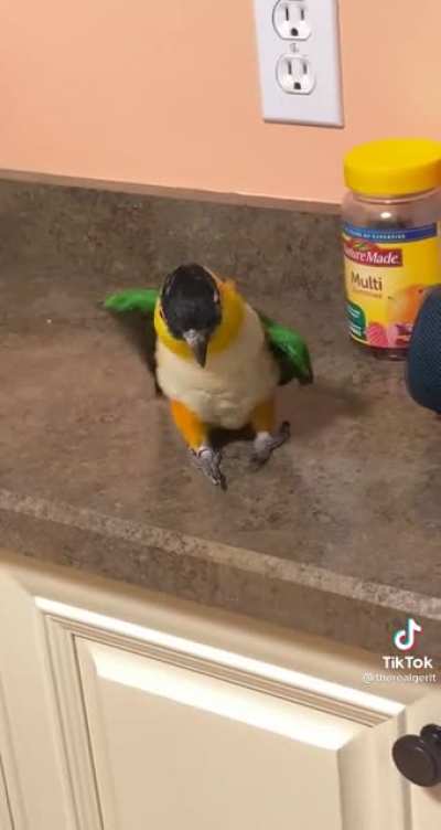 Lil man has moves