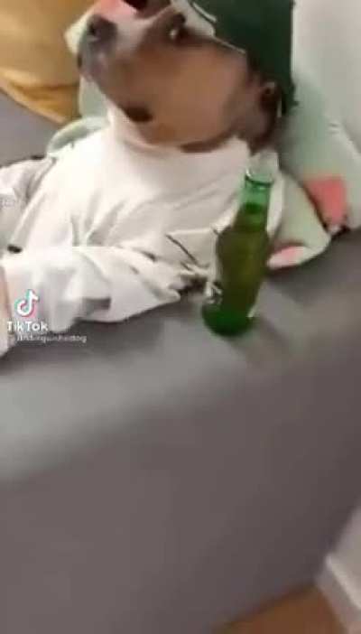 Jujaperro