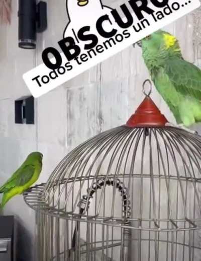 Moises&rsquo; dark side