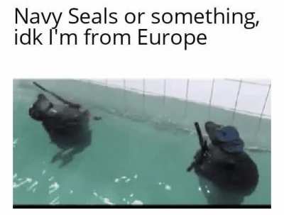 2A 👍