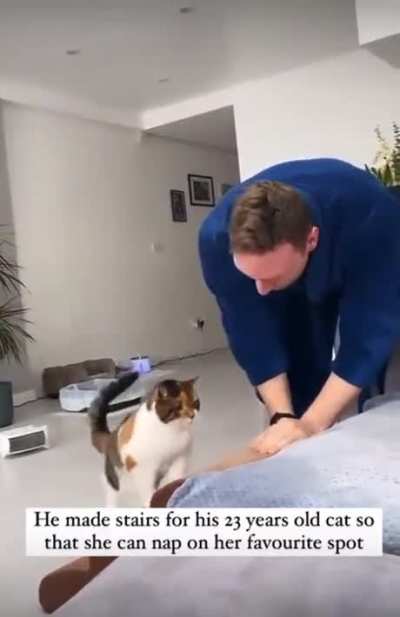 Stairs For The Cat
