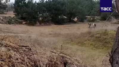 ru pov: Two Ukrainian soldiers surrender to Russian forces - Zaporozhie