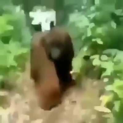 Monky 2