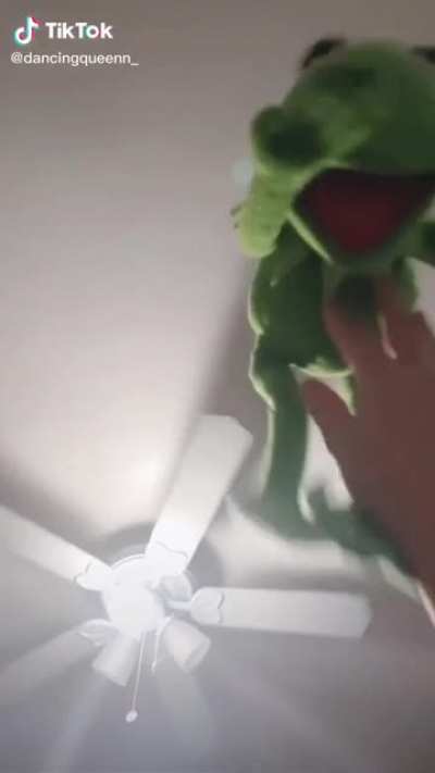 Kermit no Kermit oh my god why isn&rsquo;t he speaking Kermit what day is it oh my god fuck fuck fuck fuck