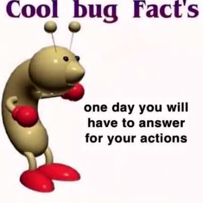 cool bug fact