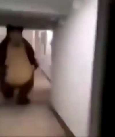 Its a bear dunno how to redit