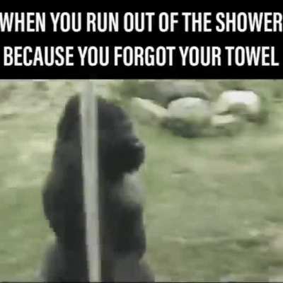 Towel why do you do this?