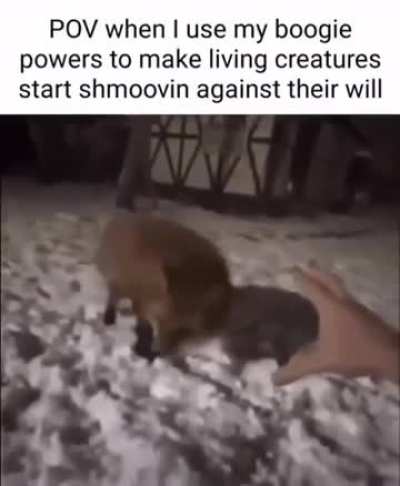 Boogie smoovie