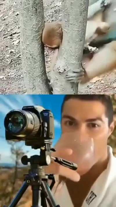 Monke