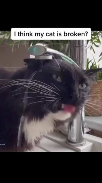 Me_irl