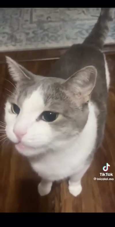eaited wunk