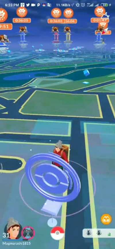 My pokemon discovers the concept of freedom