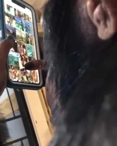 peruano descubre instagram