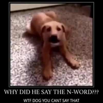 WHAT DA DOG SAYING