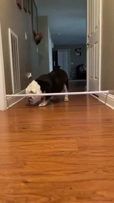 Maybe maybe maybe