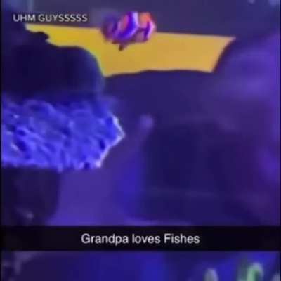 He loves him some fish 