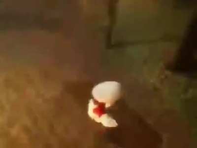 New marios game