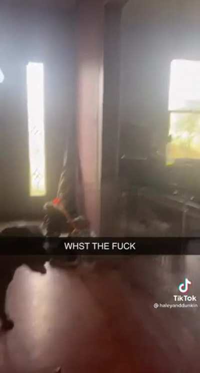He not scared if the vacuum