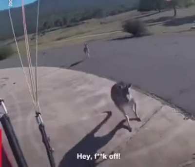 Just when you thought you had a safe landing