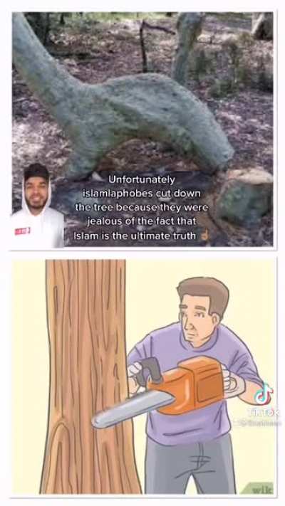 There are like 15 trillion trees in the world, there has to be some random coincidence, Yeah, and beating your wife, being homophobic, marrying underage children and, killing people who are not part of your religion is the true way of living