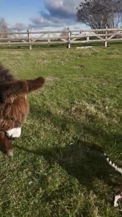 It&rsquo;s hard making friends on the farm.