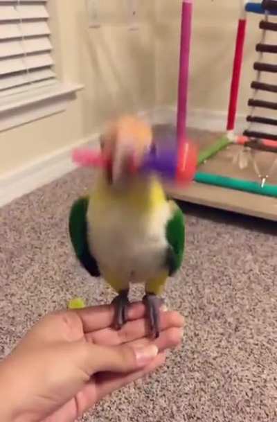 It&rsquo;s party time