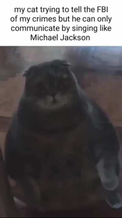 my cat will never talk