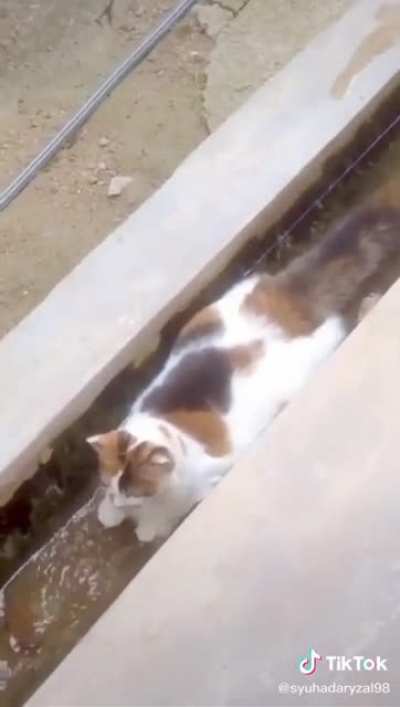 Oh Lawd he dams