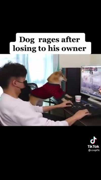 &ldquo;Dammit Todd you always win&rdquo;
