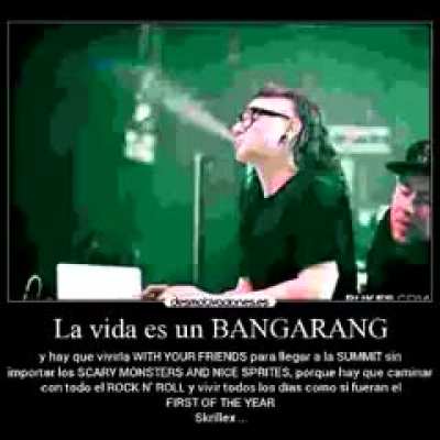 life is a bangarang