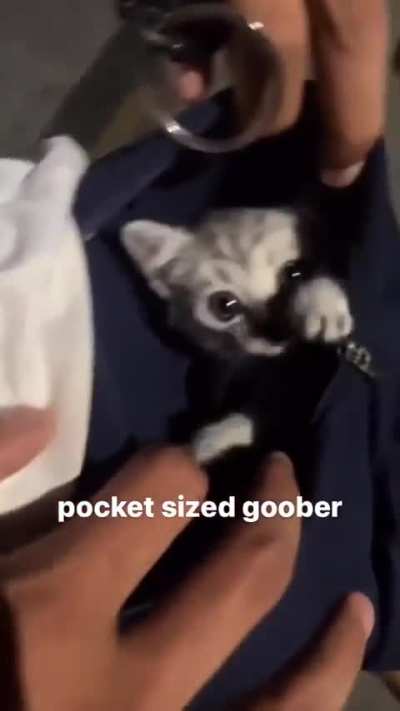 Seriously, What&rsquo;s in That Pocket?!😂