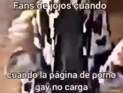xD