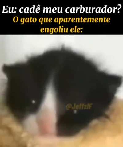o gato fdp devolve meu carburador!!
