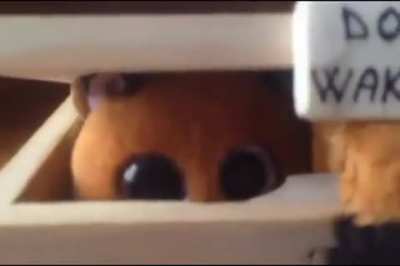 Fear