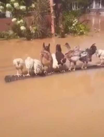 Got room for one more?
