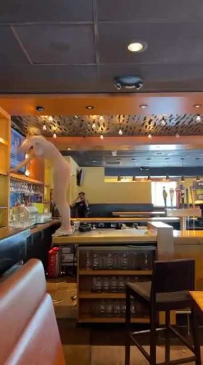 Naked Florida woman, 53, Tasered, charged with aggravated battery on law enforcement and felony criminal mischief after wrecking Outback Steak House and Moji Grill in Ocala