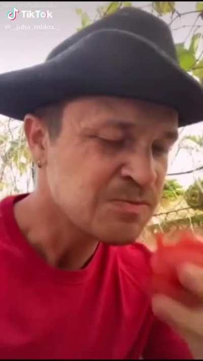 Puta que lá merda é tomate