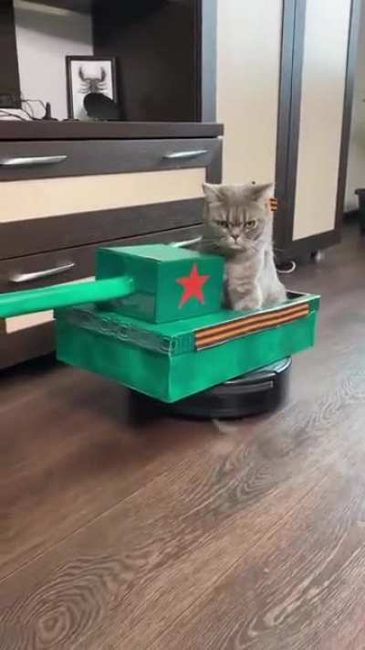 С Праздником, котаны!