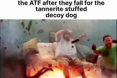 Got'em