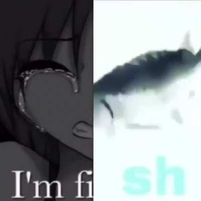 Anyone know the song?