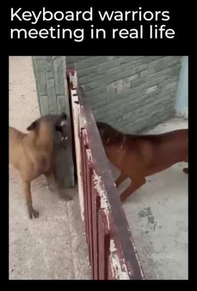 All bark
