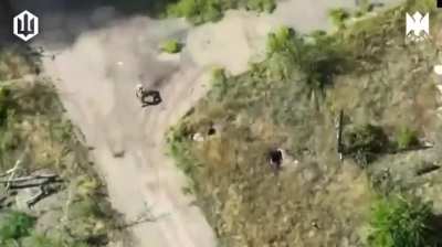 Several Russian soldiers eliminated by drone drops and FPV drones of the "Rarog" 427th UAS Regiment, 22.10.25.
