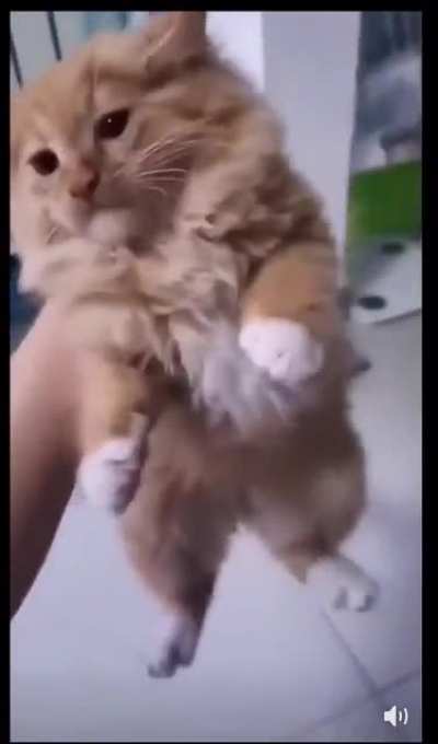 He drop da chicken