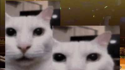 Title