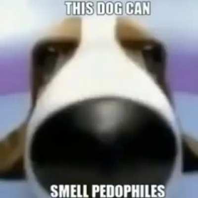 shitposting - Video #0084