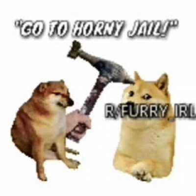 furry🔨irl
